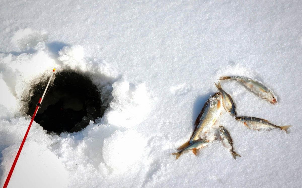 Pyeongchang Trout Festival in South Korea in winter - things to do in Korea in Winter, winter destinations in Korea, winter activities in South Korea