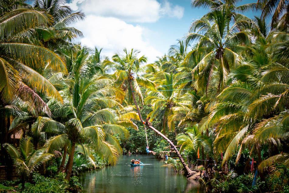 Siargao Bent Palm Tree near Maasin Bridge