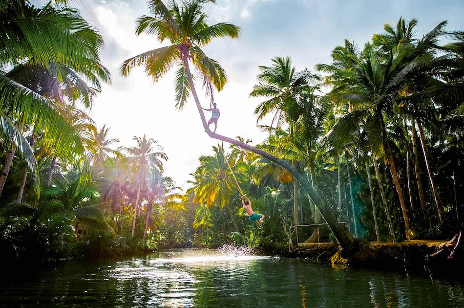 Siargao Bent Palm Tree near Maasin Bridge