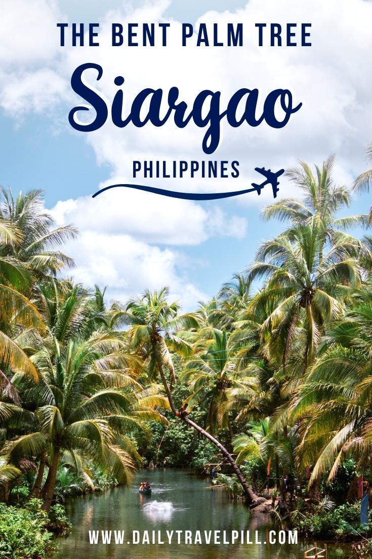 Siargao Bent Palm Tree Swing Travel Guide