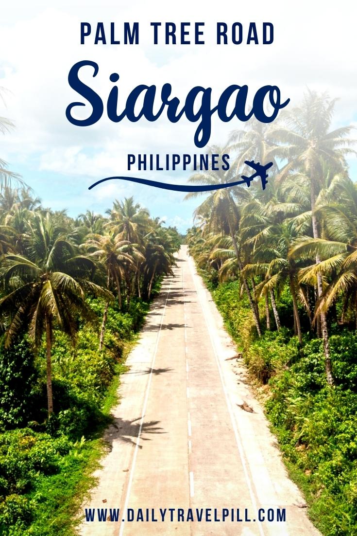 Palm tree road Siargao, Cocount Tree Road Siargao