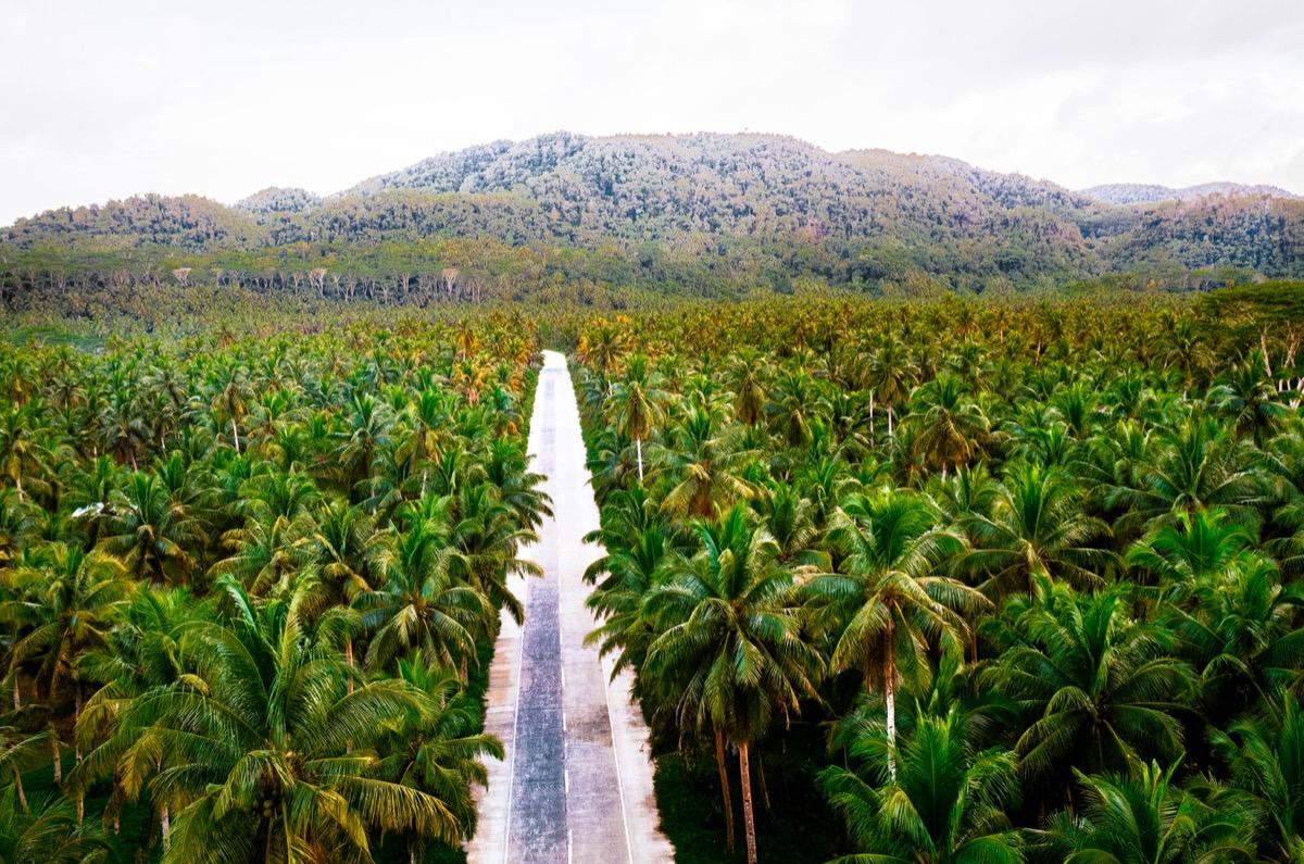 Siargao photography, photography places in Siargao, siargao instagram locations, photography spots siargao,