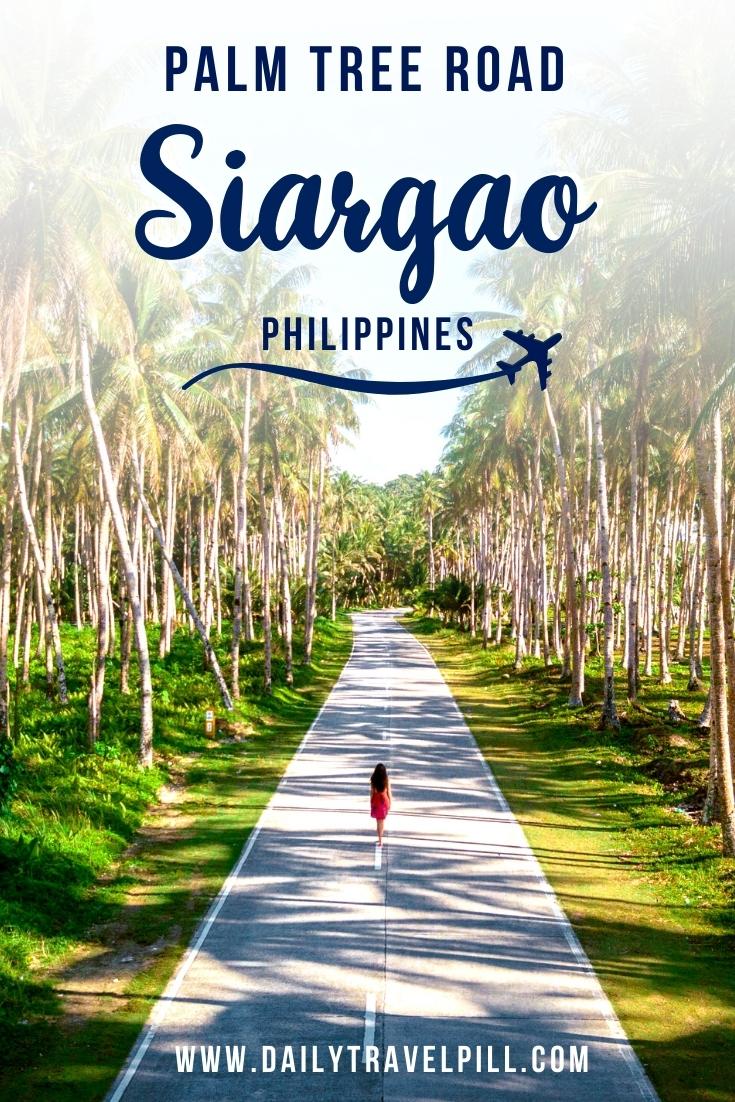 Palm tree road Siargao, Cocount Tree Road Siargao