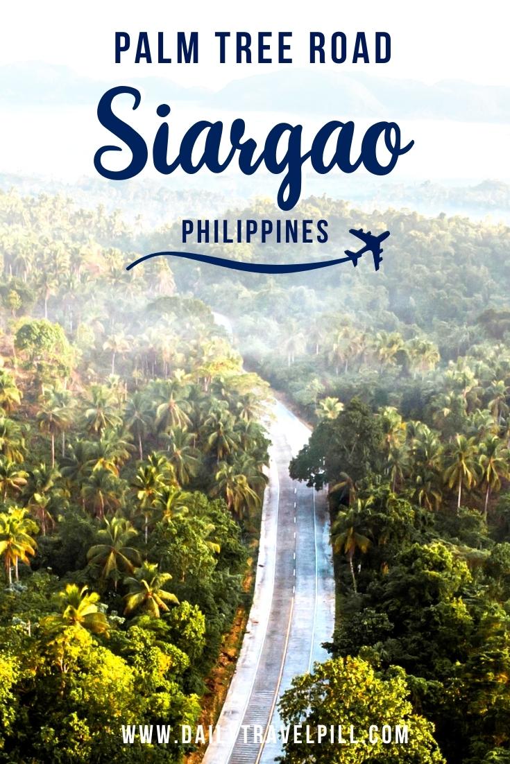 Palm tree road Siargao, Cocount Tree Road Siargao