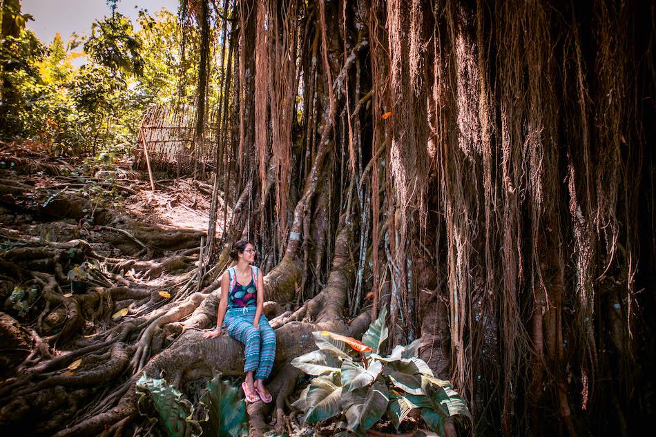 Old Balete Tree Siquijor