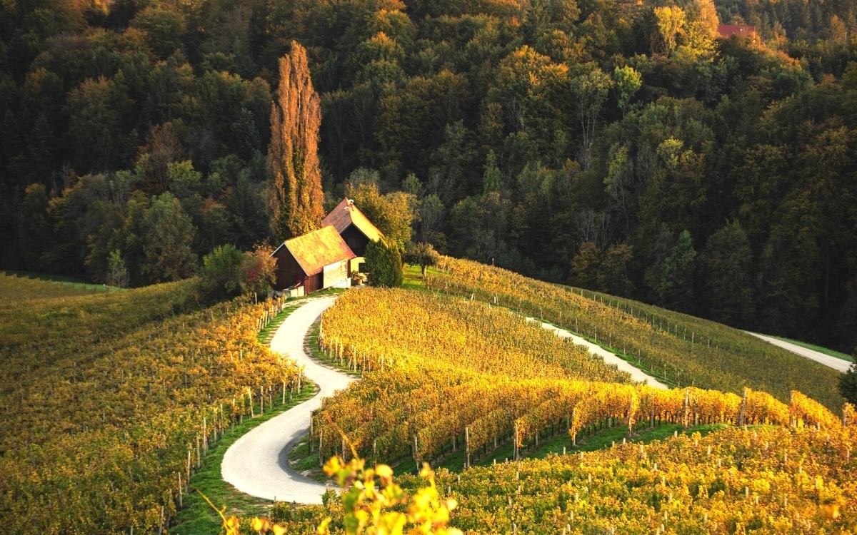 Spicnik Heart Road - hidden gems in Slovenia, off the beaten path, Slovenia off the beaten track, Slovenia secret places, Slovenia unique destinations, less known places in Slovenia