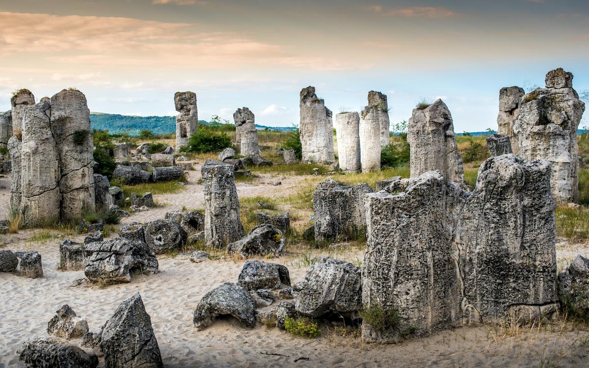 Petrified Forest or Stone Forest near Varna