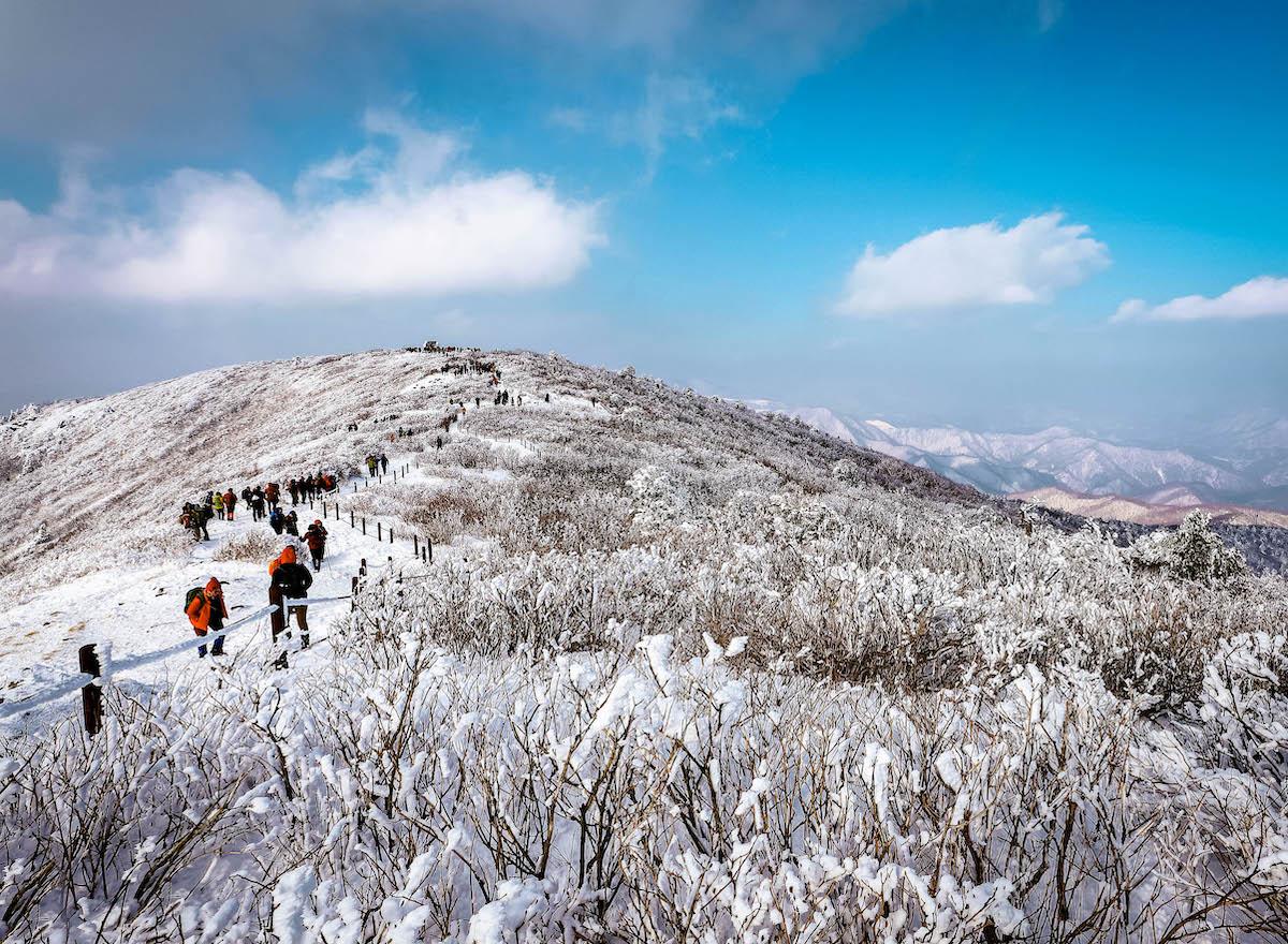 Hiking Taebaeksan Mountain in South Korea in winter - things to do in Korea in Winter, winter destinations in Korea, winter activities in South Korea