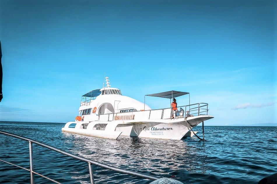 Boat to Apo Island from Coco Grove Resort