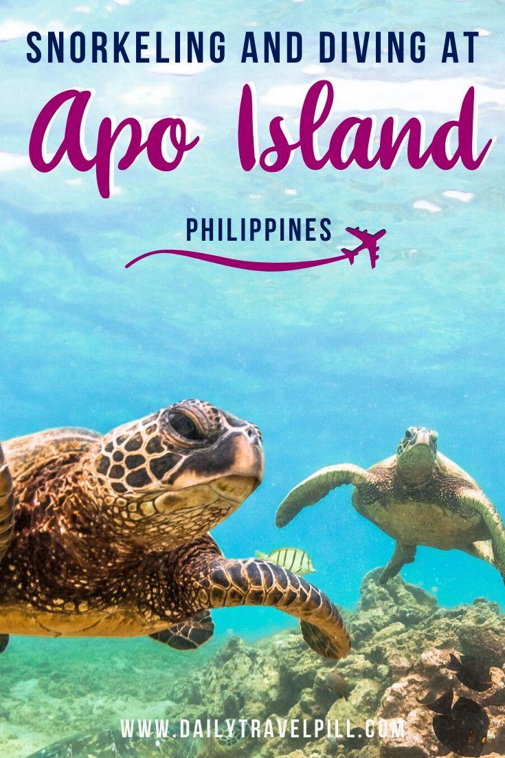 Swimming and diving at Apo Island, Philippines