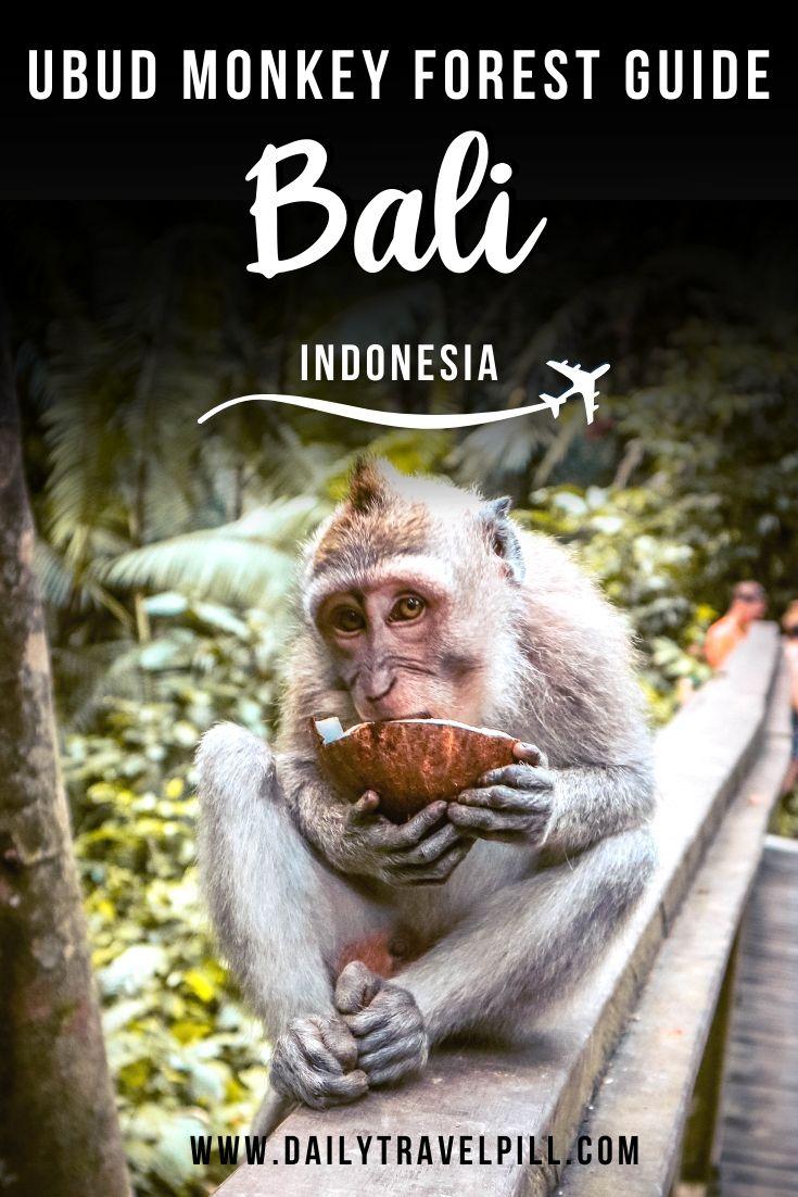 Visiting the Ubud Monkey Forest in Bali
