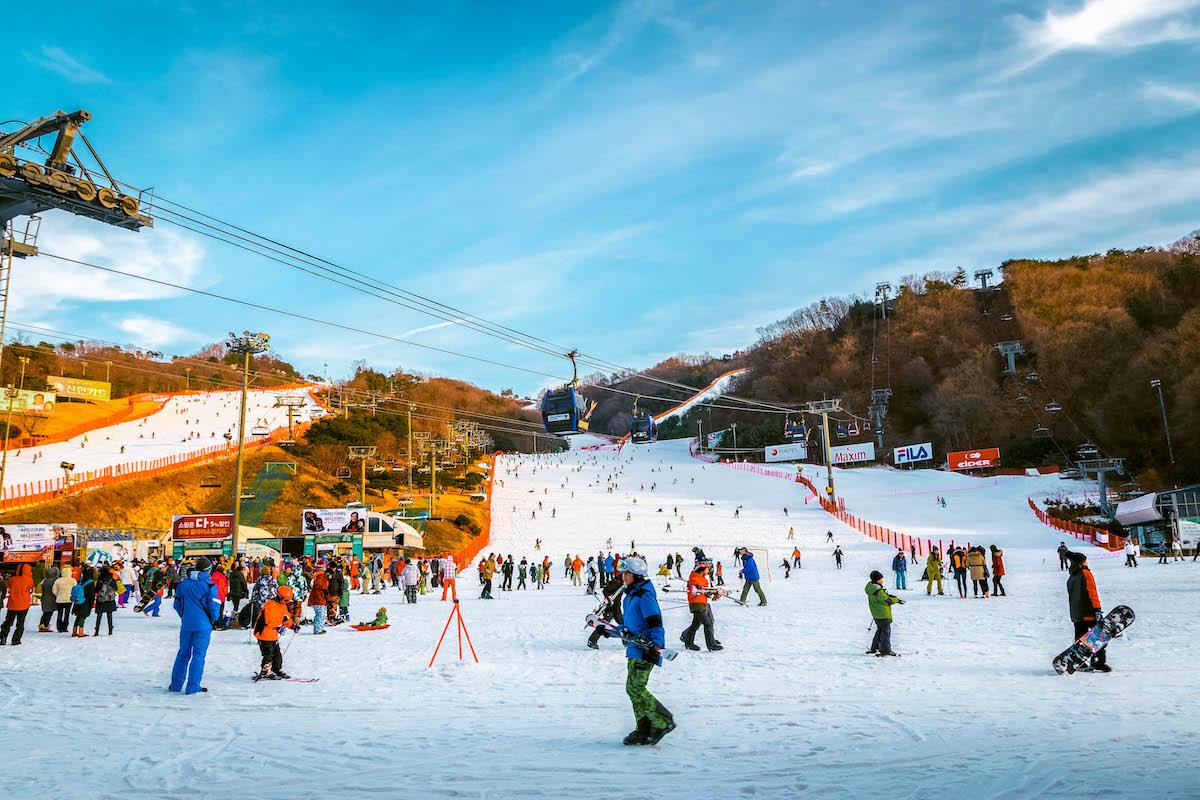 Vivaldi Park Ski World in winter. People skiing on ski slopes - - things to do in Korea in Winter, winter destinations in Korea, winter activities in South Korea